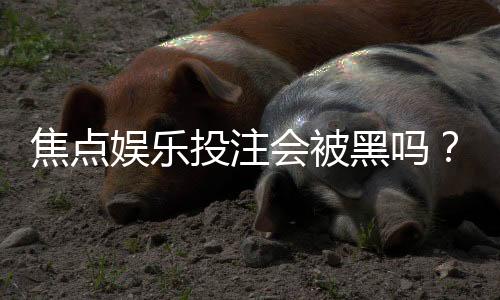 焦点娱乐投注会被黑吗？揭秘平台安全性与防黑技巧