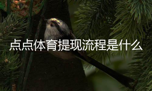 点点体育提现流程是什么？详细步骤、到账时间与常见问题一看就懂
