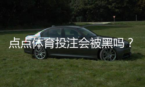点点体育投注会被黑吗？平台安全性真实分析与防骗防护全攻略
