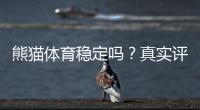 熊猫体育稳定吗？真实评测、平台稳定性与风险提示