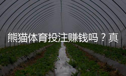 熊猫体育投注赚钱吗？真实体验、盈利能力与风险全解析