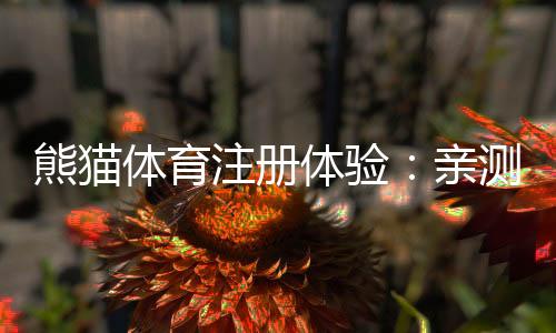 熊猫体育注册体验:亲测注册流程、实名认证与新手福利全攻略