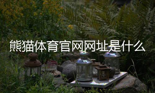 熊猫体育官网网址是什么？最新版官网入口、登录与安全访问全攻略