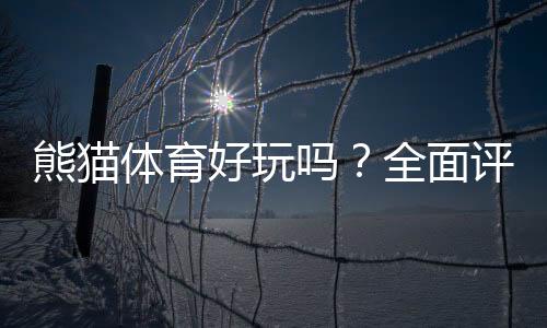 熊猫体育好玩吗？全面评测：玩法介绍、优缺点与新手上手指南