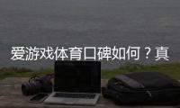 爱游戏体育口碑如何？真实用户评价与平台安全性全面解析