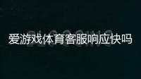 爱游戏体育客服响应快吗？官方响应速度与问题处理实测解析