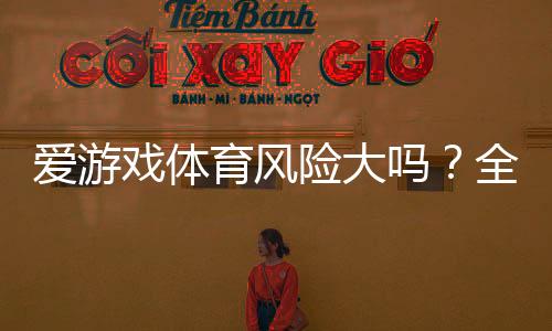 爱游戏体育风险大吗?全面风险评估与新手避险攻略