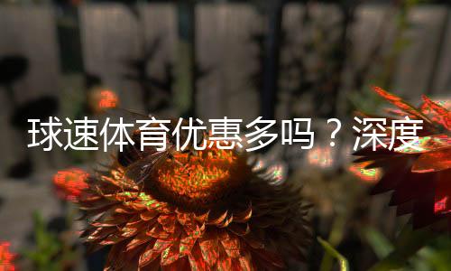 球速体育优惠多吗？深度解析其福利活动与玩家体验