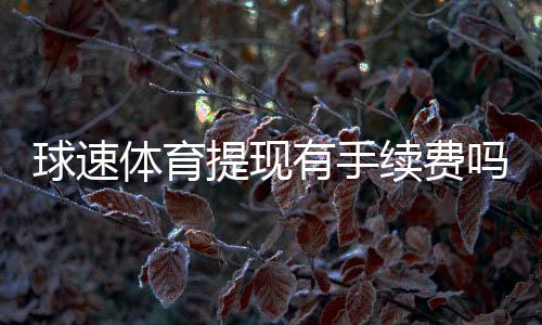 球速体育提现有手续费吗？手续费标准及到账时间详解