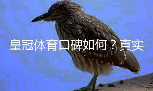 皇冠体育口碑如何？真实用户评价、平台安全与提款体验全面解析