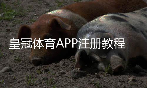 皇冠体育APP注册教程：新手一步步完成账号注册、身份验证与常见问题解答