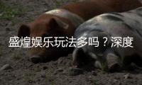 盛煌娱乐玩法多吗？深度解析其丰富游戏选择与特色玩法