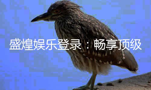 盛煌娱乐登录：畅享顶级棋牌电游的尊贵体验
