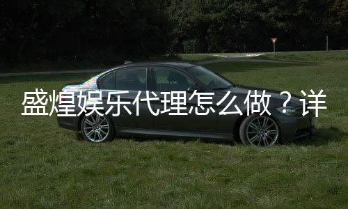 盛煌娱乐代理怎么做？详细申请流程与收益解析