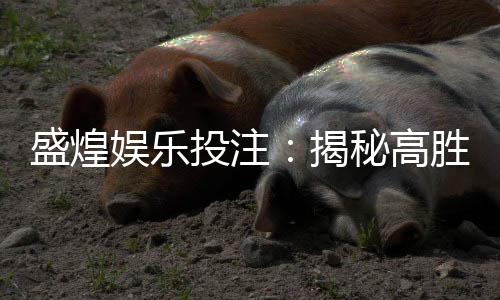 盛煌娱乐投注：揭秘高胜率玩家的投注技巧与实战心得