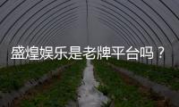 盛煌娱乐是老牌平台吗？资深玩家带你揭秘其历史与实力