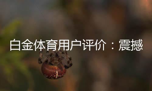 白金体育用户评价：震撼好坏！