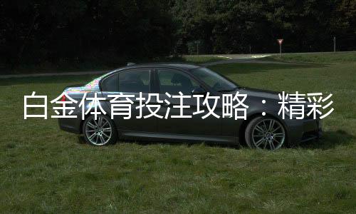 白金体育投注攻略：精彩玩法分享