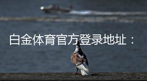 白金体育官方登录地址：在线投注新体验