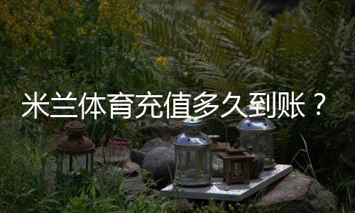 米兰体育充值多久到账？到账时间解析、常见延迟原因与快速解决办法
