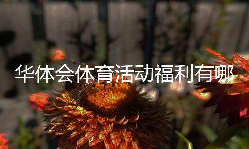 华体会体育活动福利有哪些？新手领取攻略与常见注意事项全面解析
