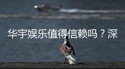 华宇娱乐值得信赖吗?深度解析其平台安全性与玩家口碑