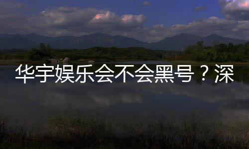 华宇娱乐会不会黑号？深度解析平台安全性与防黑技巧