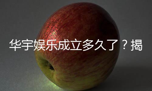 华宇娱乐成立多久了？揭秘这家老牌平台的发展历程与实力背景