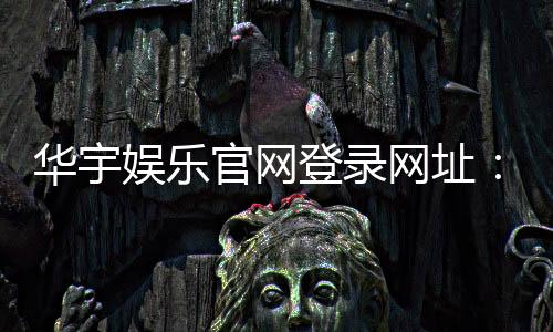 华宇娱乐官网登录网址：畅享顶级棋牌电游的尊贵体验