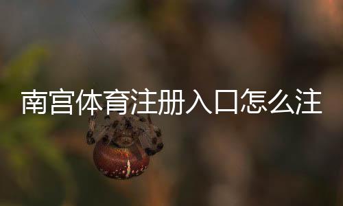 南宫体育注册入口怎么注册?新手开户流程、验证与安全注意事项