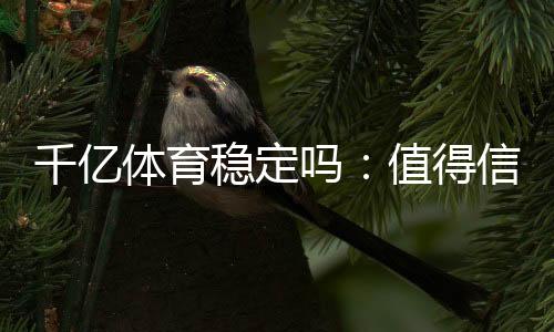 千亿体育稳定吗:值得信赖的娱乐平台