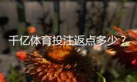 千亿体育投注返点多少？享受丰厚回报！