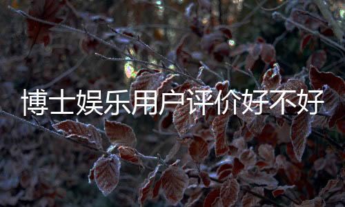 博士娱乐用户评价好不好？真实玩家体验分享与深度解析