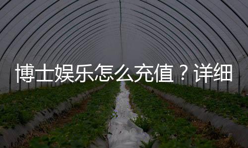 博士娱乐怎么充值？详细步骤与到账时间解析