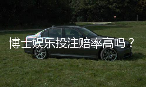 博士娱乐投注赔率高吗？资深玩家揭秘真实盈利概率与技巧