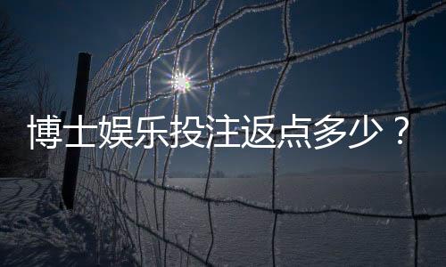 博士娱乐投注返点多少？揭秘高返点平台实战攻略