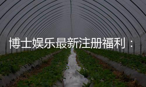 博士娱乐最新注册福利：新会员专享三重豪礼与首存优惠