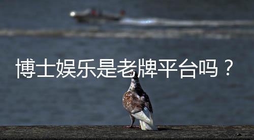 博士娱乐是老牌平台吗？资深玩家解析其历史与信誉
