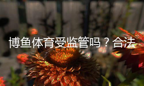 博鱼体育受监管吗？合法性、监管机构与用户安全保障全面解析