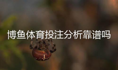 博鱼体育投注分析靠谱吗？全面评测：真实效果、风险与使用建议