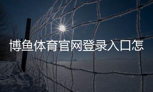 博鱼体育官网登录入口怎么进？官方登录教程与安全验证全攻略