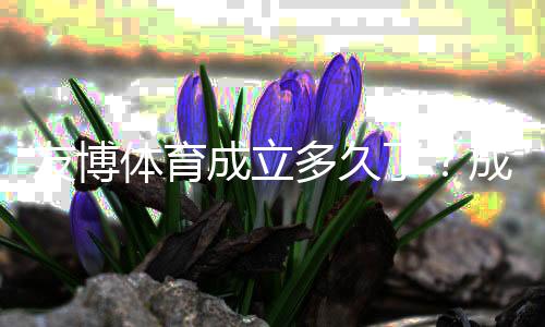 友博体育成立多久了？成立时间、发展历程与可信度全面解析