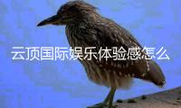 云顶国际娱乐体验感怎么样？资深玩家真实评测分享