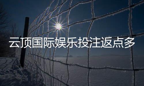 云顶国际娱乐投注返点多少？高返点福利详解与获取攻略