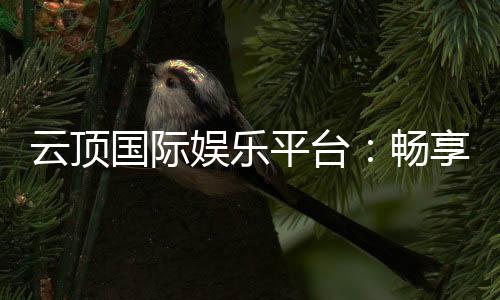 云顶国际娱乐平台：畅享高端电子游艺的奢华体验