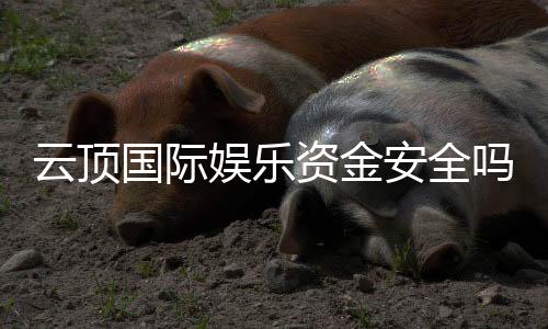 云顶国际娱乐资金安全吗？资深玩家解析平台保障措施