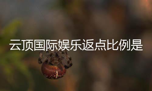 云顶国际娱乐返点比例是多少？最新返点政策详解