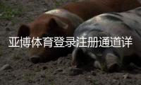 亚博体育登录注册通道详解：新手注册步骤、安全登录与常见问题解决