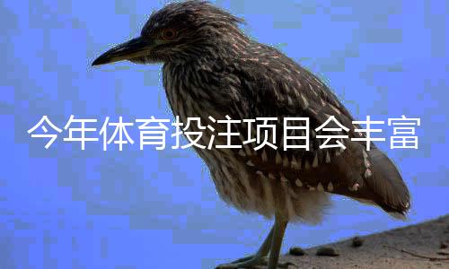 今年体育投注项目会丰富吗？热门玩法、平台趋势与新手攻略