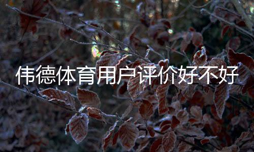 伟德体育用户评价好不好？真实口碑、优缺点与新手注意事项详解